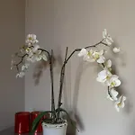 ホステル Kadriorg *