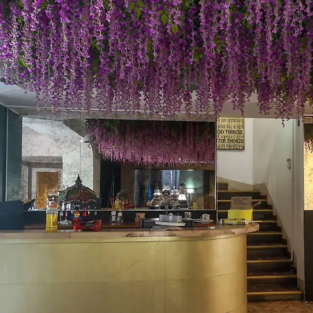 Kadriorg Hostel Tallinn